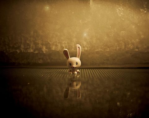 photo-1439436556258-1f7fab1bfd4f photo-1439436556258-1f7fab1bfd4f